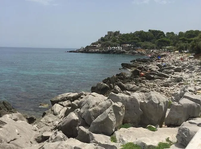 Ashur Mondello 2*